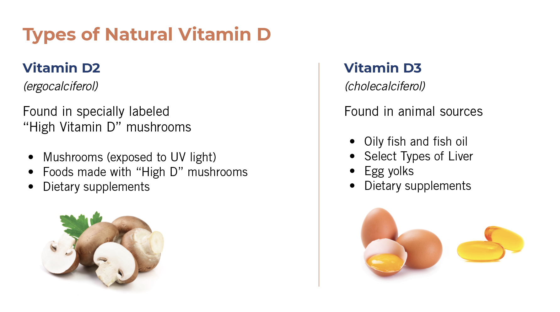 How Mushrooms Become High In Vitamin D how-mushrooms-become-high-in-vitamin-d